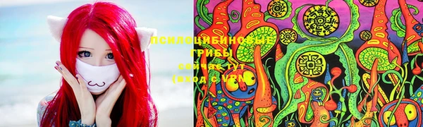 ГАЛЛЮЦИНОГЕННЫЕ ГРИБЫ Алексин