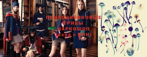 гидра Снежинск